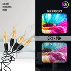 Bulb
