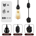 Plug in Pendant Light Kit