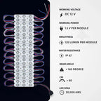 LED Module