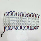 LED Module