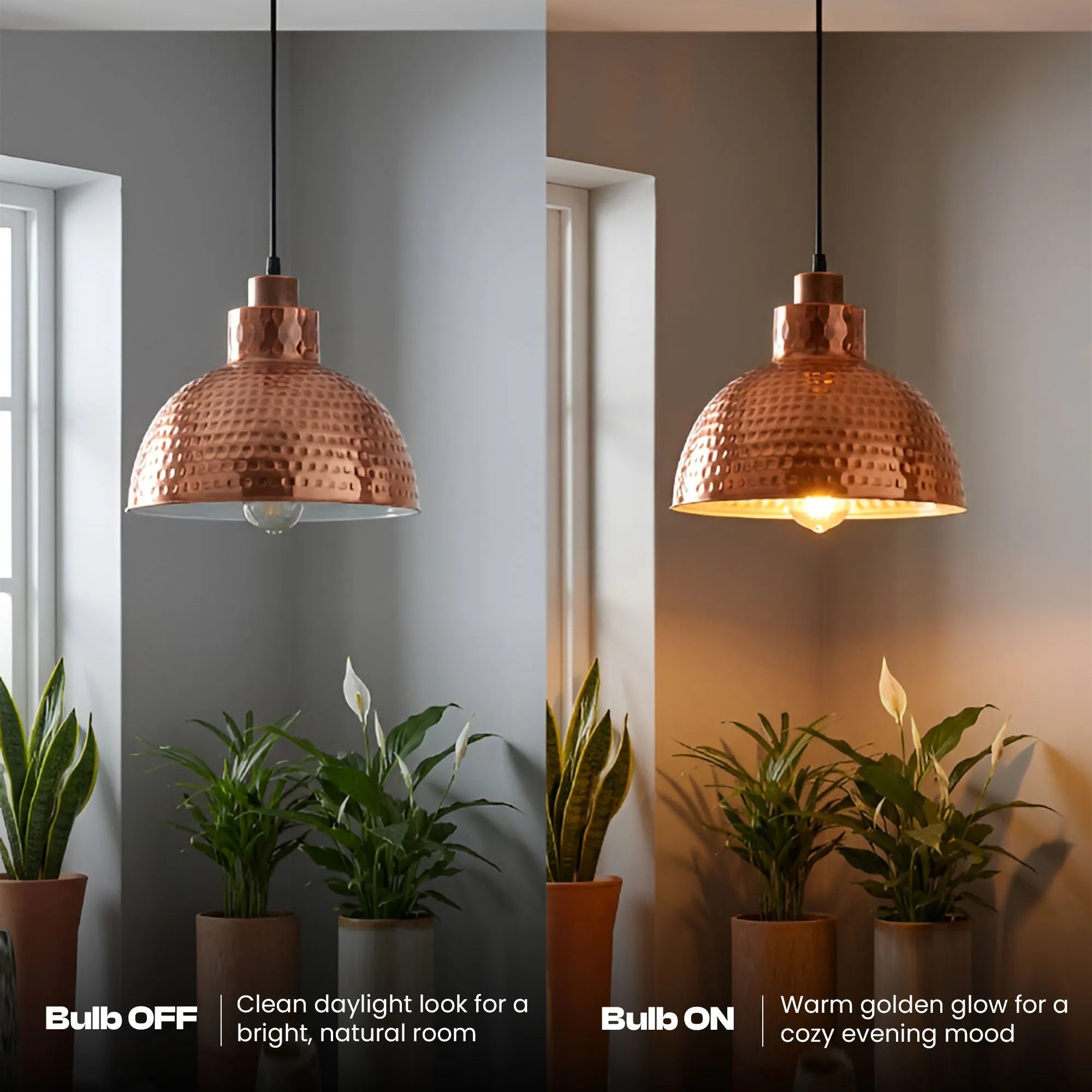 Pendent Light