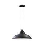 shell ceiling for down lights