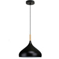 indoor pendant copper set