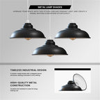 modern café shade lighting