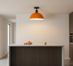 light ceiling flush shade