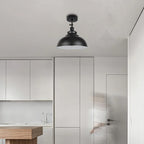 ceiling hall light lounge