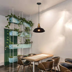 light room metal hanging lamp