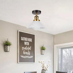 edison ceiling down lights