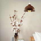 shade black ceiling brass