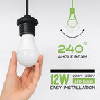 6 Pack E27 A60 LED Bulbs 12W 100W Equivalent 6400K ~1213