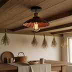 lights chandelier ceiling