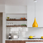 black drop pendant fittings