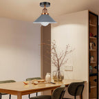 22cm vintage industrial ceilin