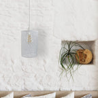 black metal cage pendant light