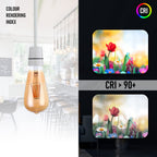 base warm lamp led white globe