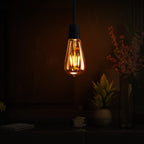 vintage shape st64 bulbs style