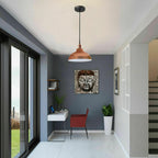 black brass light shade pendan