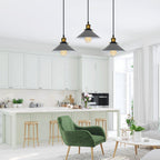 pendant fixture light lighting