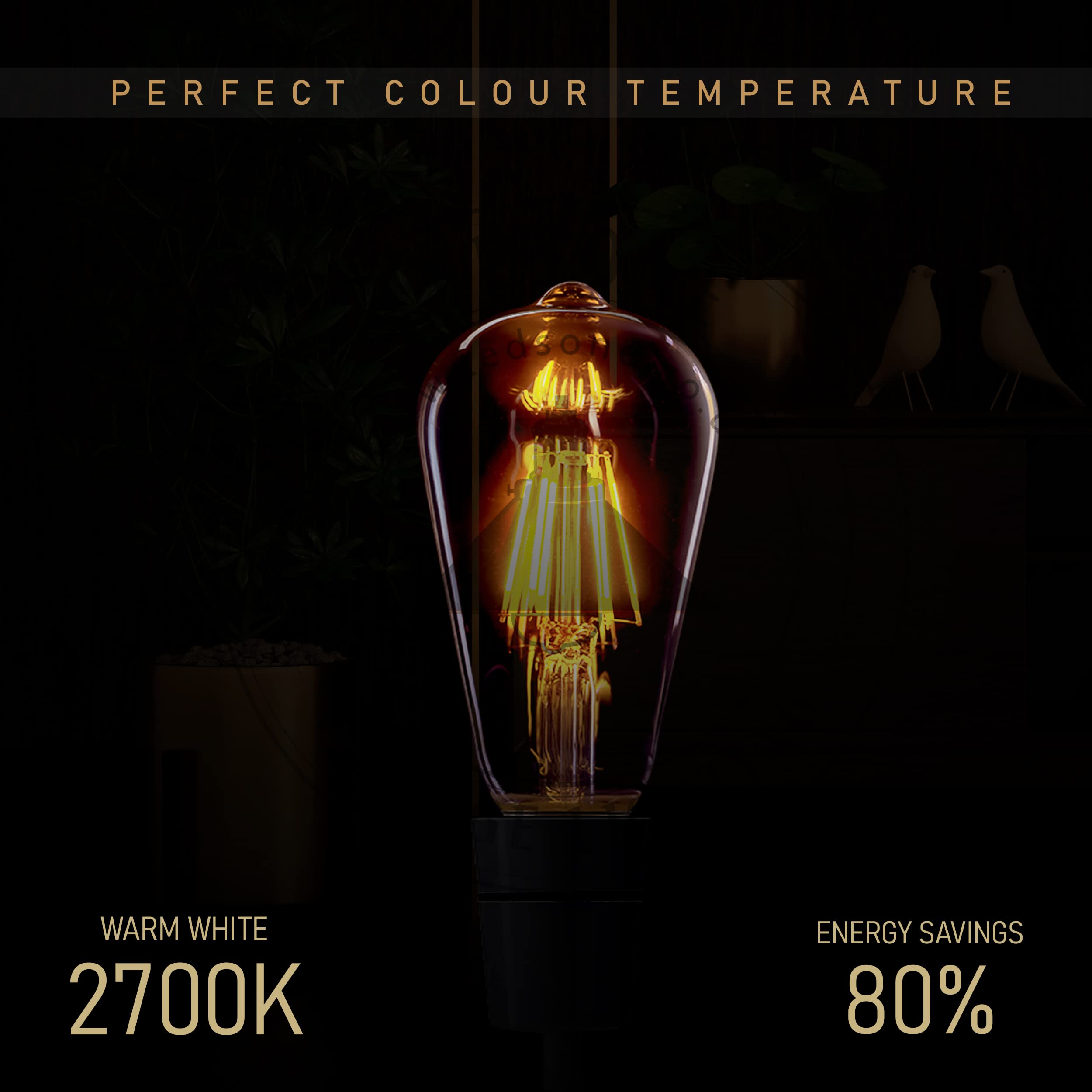 base warm lamp led white globe