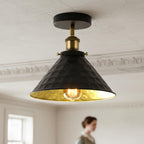 ceiling vintage lampshade