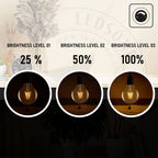 warm light non-dimmable led