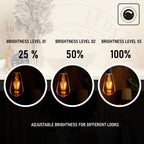 base warm lamp led white globe