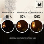 filament 2700k bulb bulbs