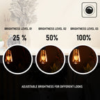 vintage shape st64 bulbs style