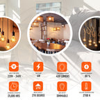 bulbs bulb globes led white