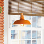 Retro Industrial Style Metal Pendant Ceiling Lights ~1125
