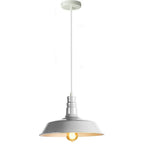 Retro Industrial Style Metal Pendant Ceiling Lights ~1125