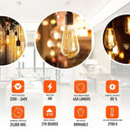 Vintage Style LED Edison Bulb Lamp ~1025