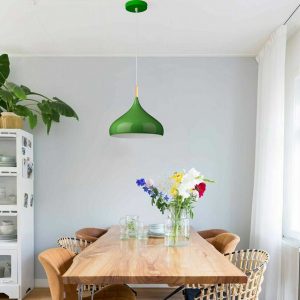 Ceiling Pendant Light Metal Colour Shade Hanging Lamps~5305
