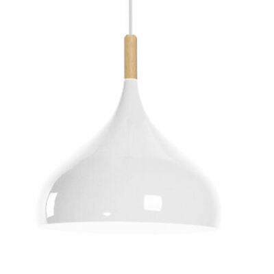 Ceiling Pendant Light Metal Colour Shade Hanging Lamps~5305