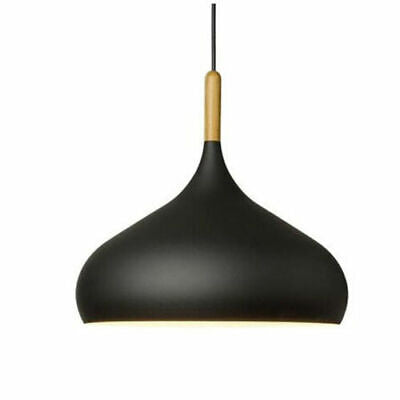 Ceiling Pendant Light Metal Colour Shade Hanging Lamps~5305