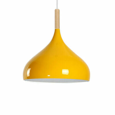 Ceiling Pendant Light Metal Colour Shade Hanging Lamps~5305