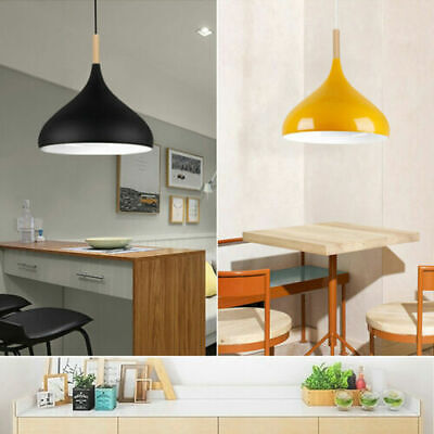 Ceiling Pendant Light Metal Colour Shade Hanging Lamps~5305