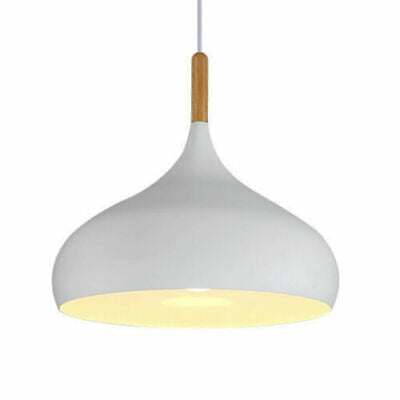 Ceiling Pendant Light Metal Colour Shade Hanging Lamps~5305